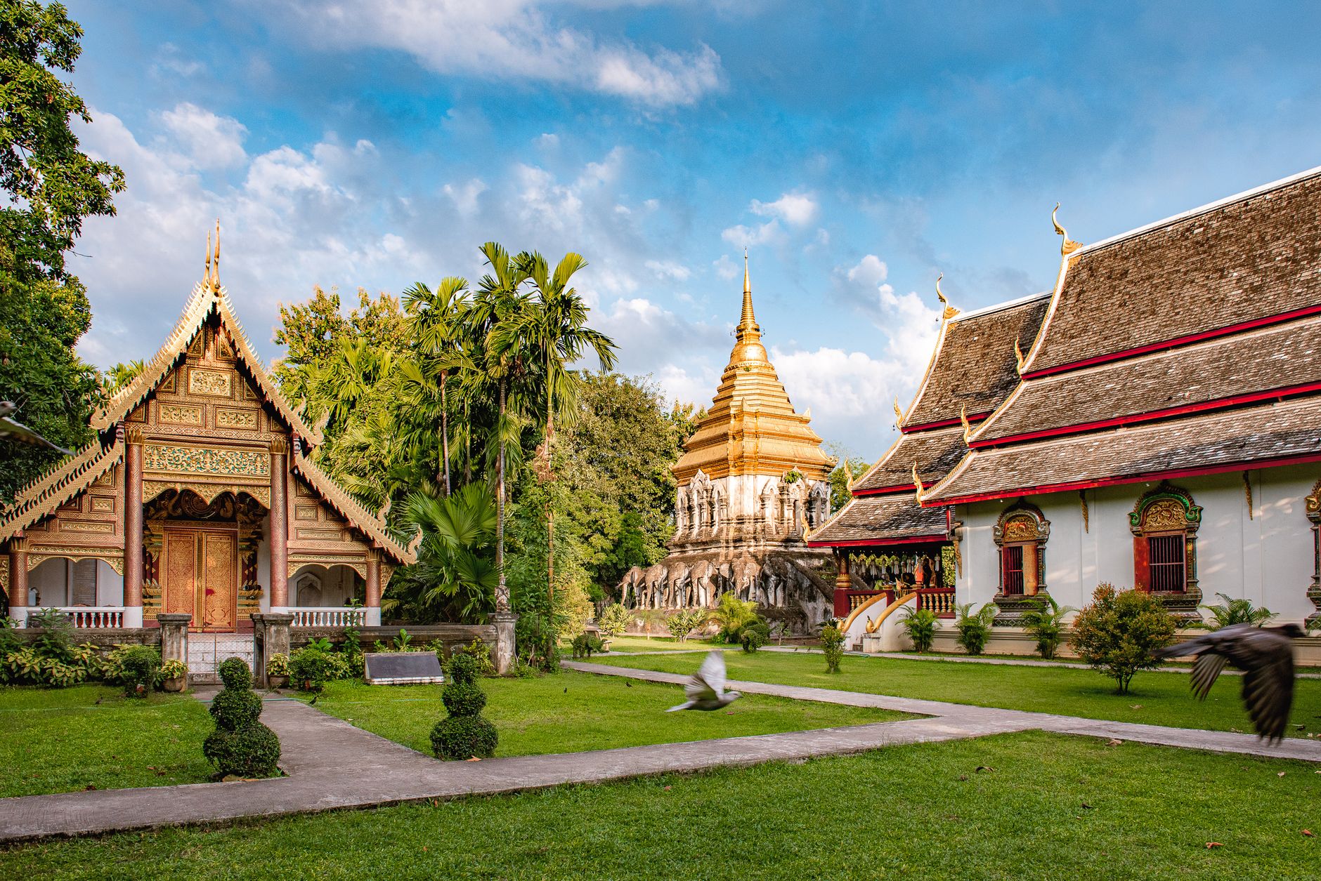 A beautiful view of Wat Chiang Man temple in Chiang Mai, Thailand, surrounded by lush greenery.