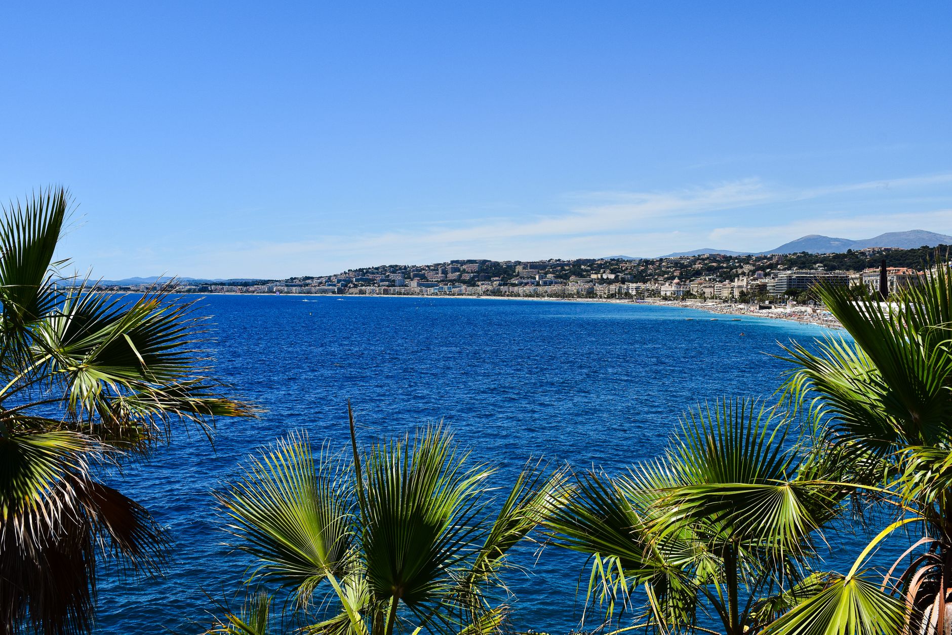 Picturesque view of the azure coast and palm trees in Nice